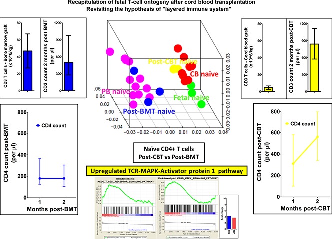 graphic file with name advances010827absf1.jpg