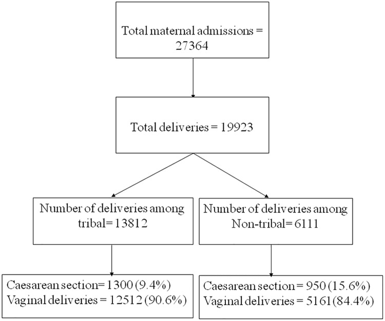 Fig 1