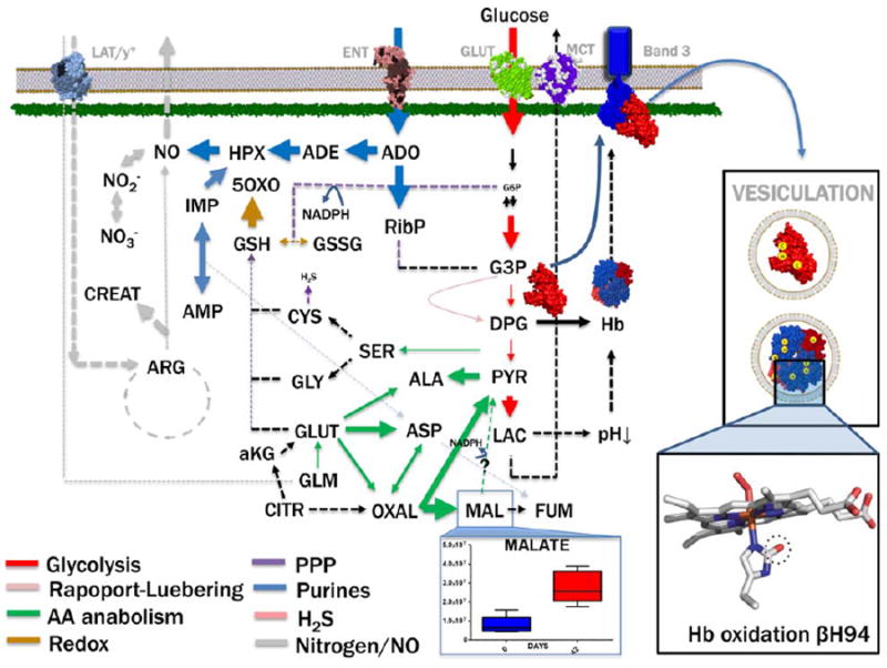 Fig. 4