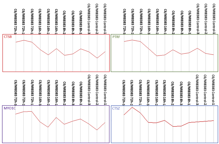 Figure 7