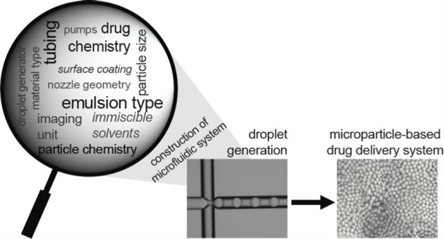 graphic file with name nihms-1877145-f0009.jpg