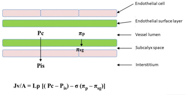 Fig. 3