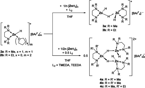 Scheme 2