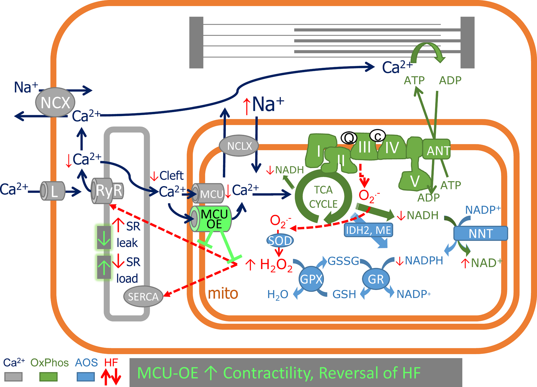 Figure 7.