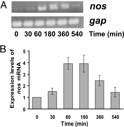 Fig. 3.