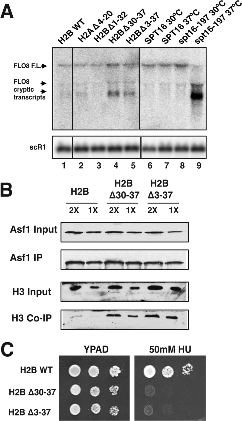 FIG 4