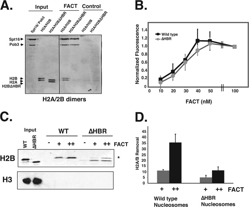 FIG 6