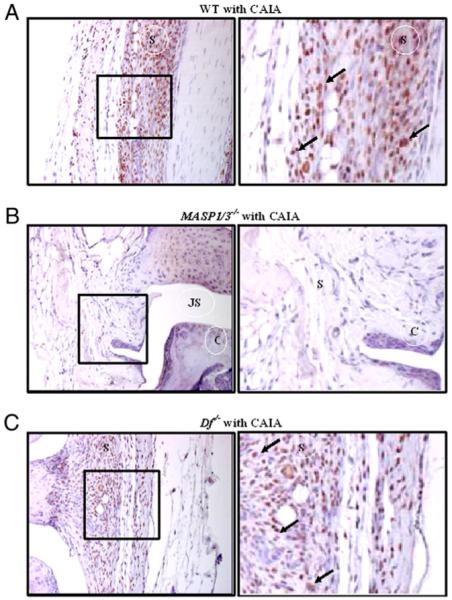 FIGURE 3