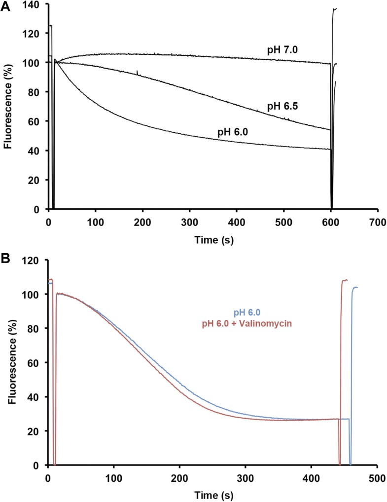 Figure 6—figure supplement 1.