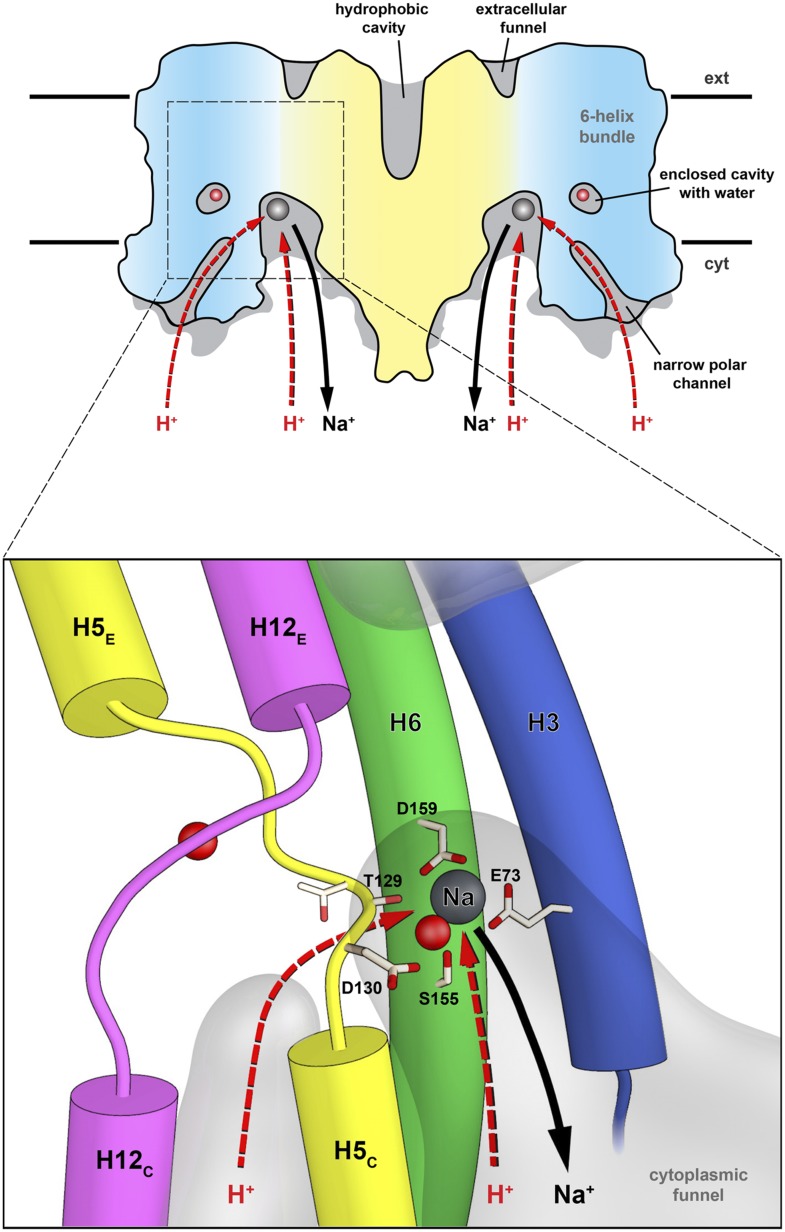 Figure 9.