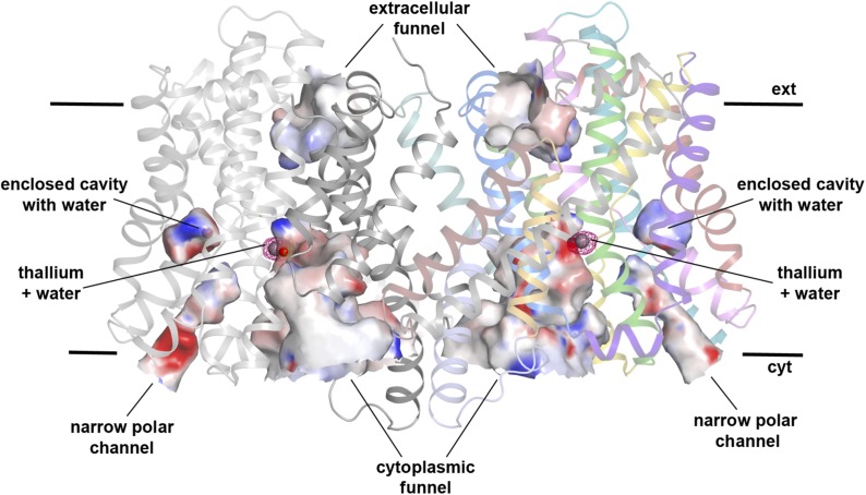 Figure 1—figure supplement 3.