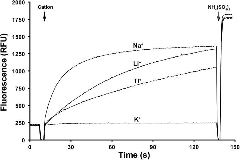 Figure 4.