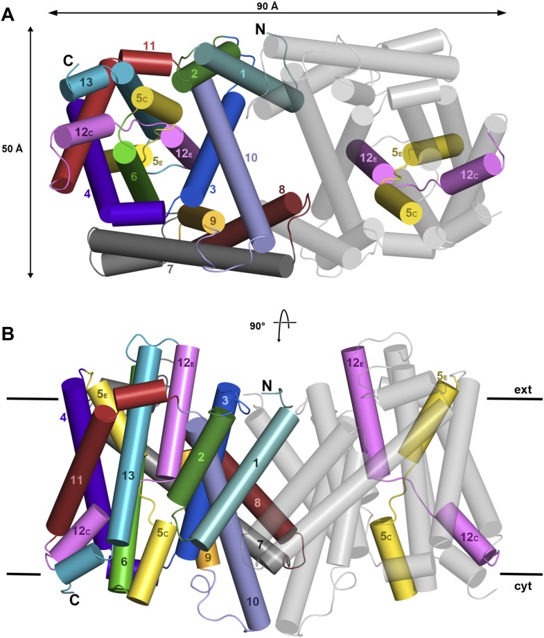 Figure 1—figure supplement 2.