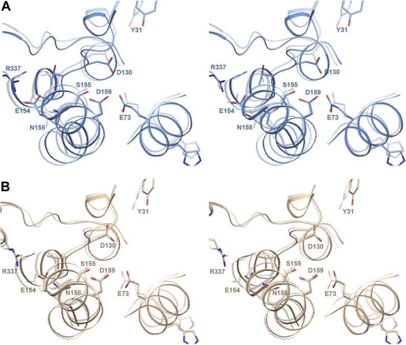 Figure 5—figure supplement 2.