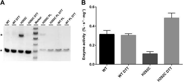 Figure 8—figure supplement 1.