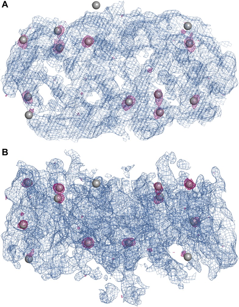 Figure 1—figure supplement 1.