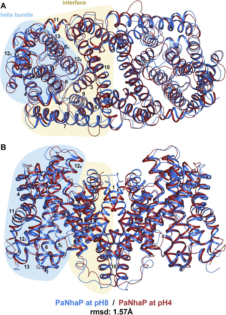 Figure 5.