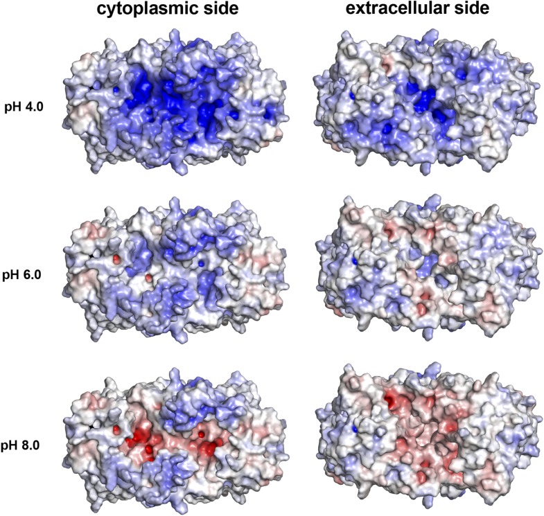 Figure 2—figure supplement 1.