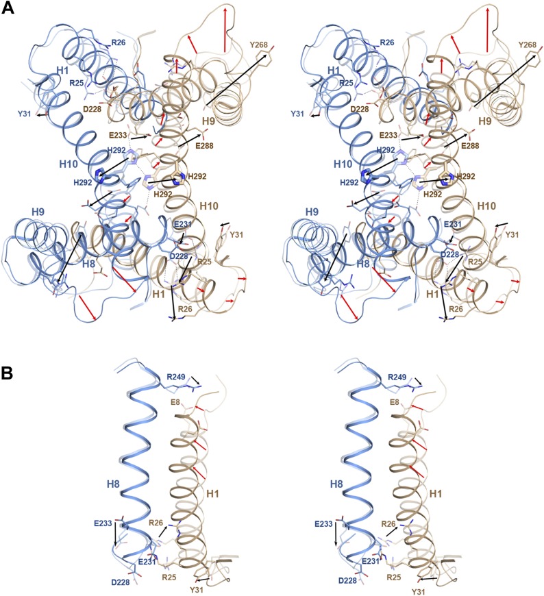 Figure 5—figure supplement 1.