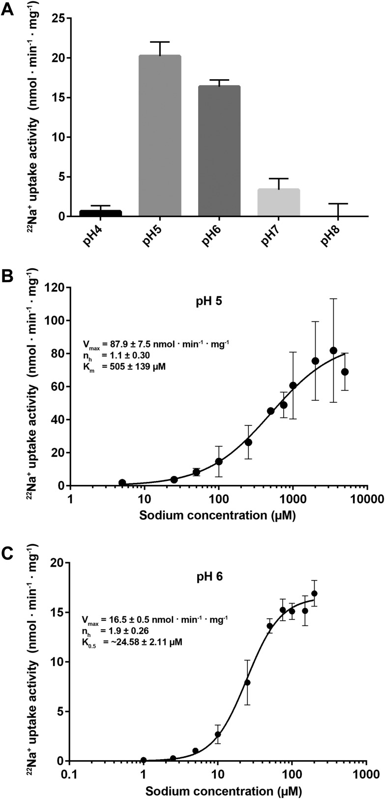 Figure 6.