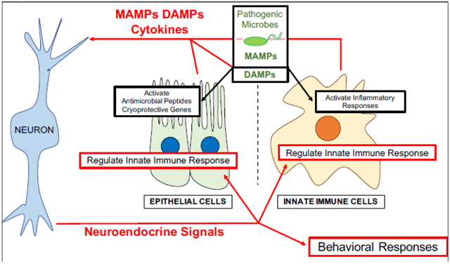 graphic file with name nihms-1527813-f0001.jpg