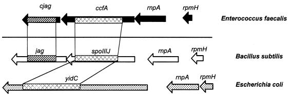 FIG. 2.