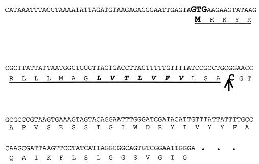 FIG. 1.