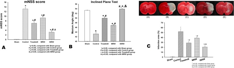 Fig 10