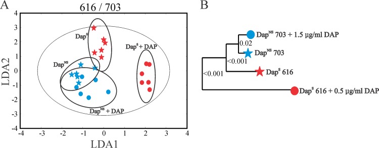 FIG 5