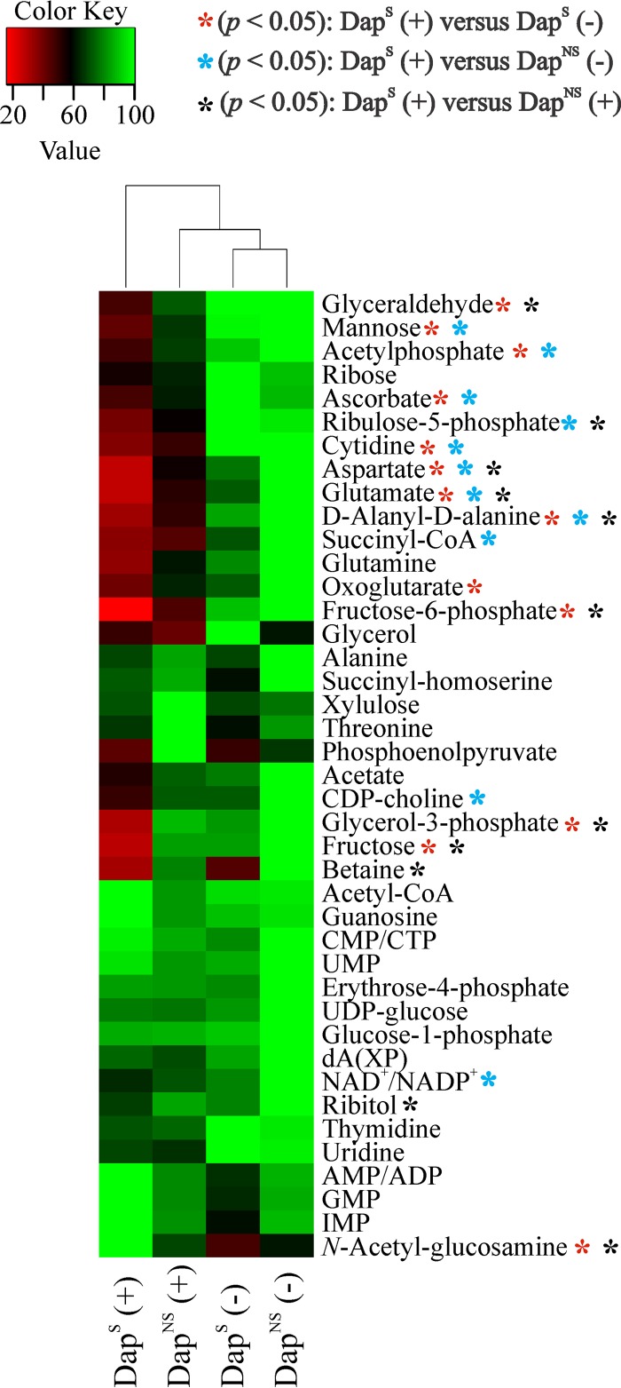 FIG 6