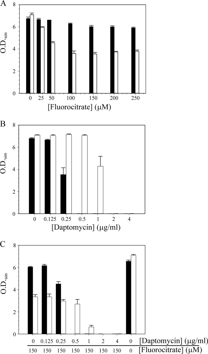 FIG 7