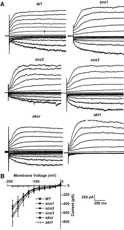 Figure 2.