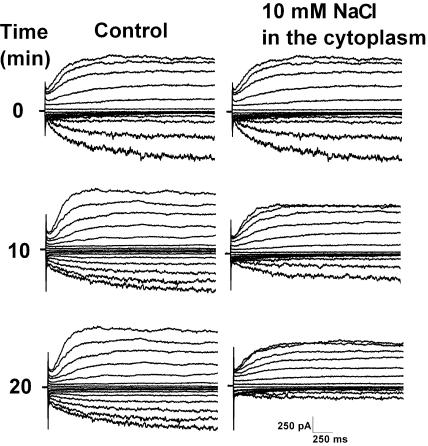 Figure 5.