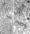 Fig. 8