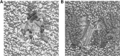 Fig. 10