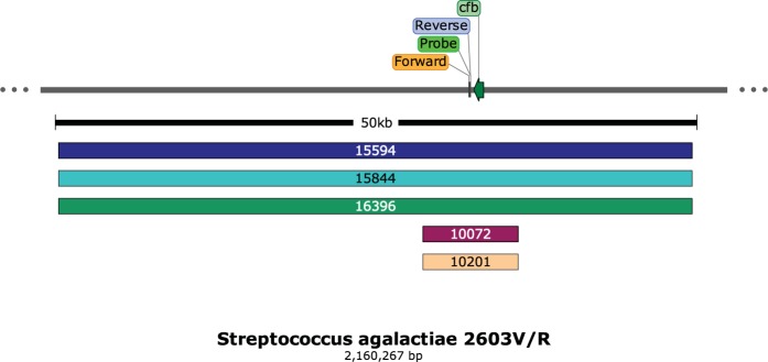 FIG 3