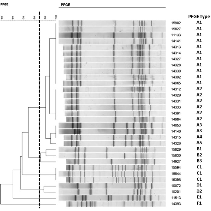 FIG 1