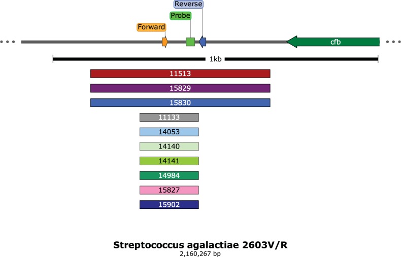 FIG 2