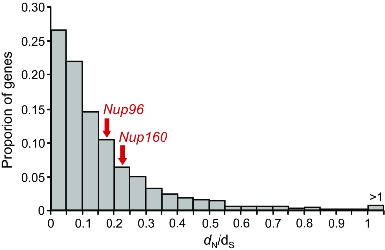 FIG. 6.—