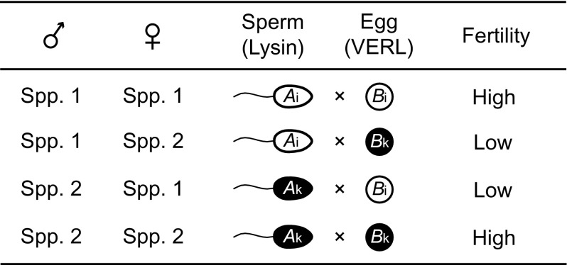 FIG. 8.—