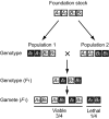 F<sc>IG</sc>. 4.—