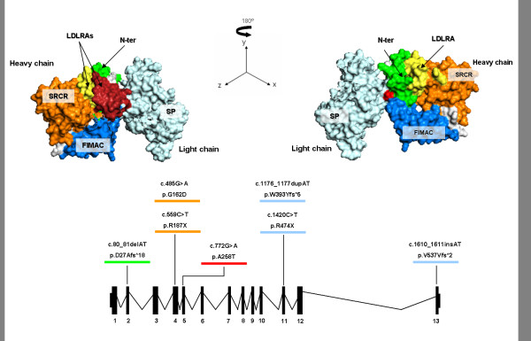 Figure 3 