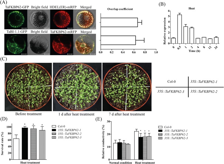 Fig. 4