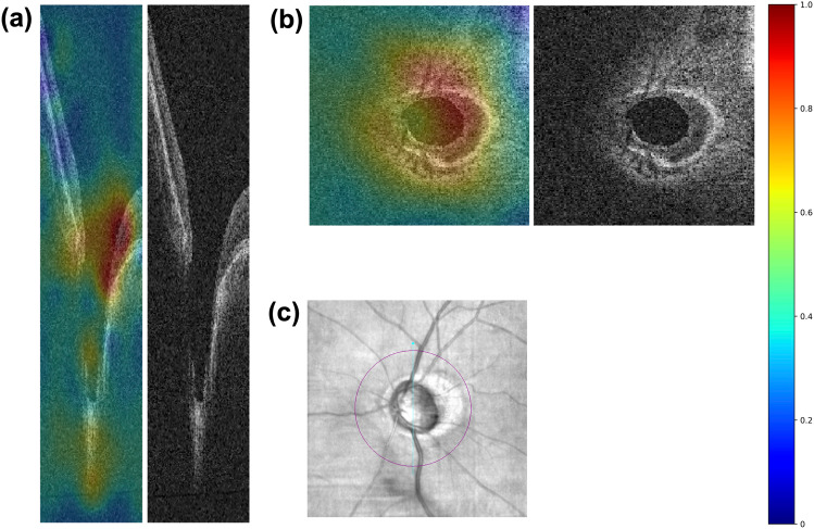 Fig. 5