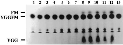 FIG. 7