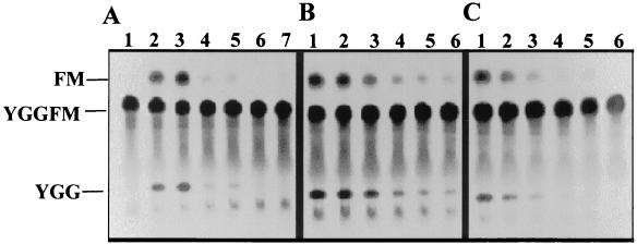 FIG. 8