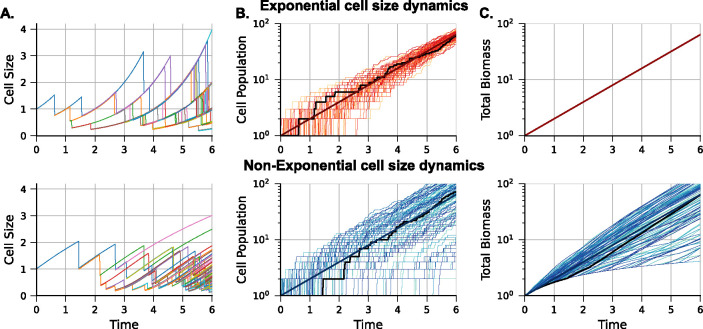 Figure 3: