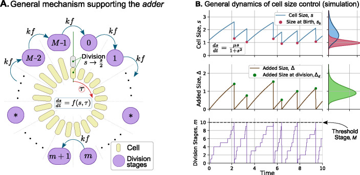 Figure 2: