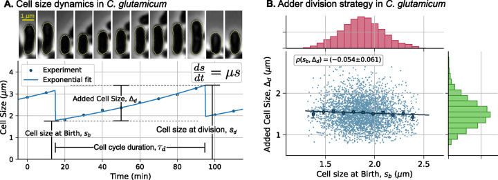 Figure 1: