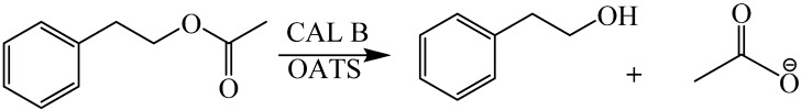 Scheme 4